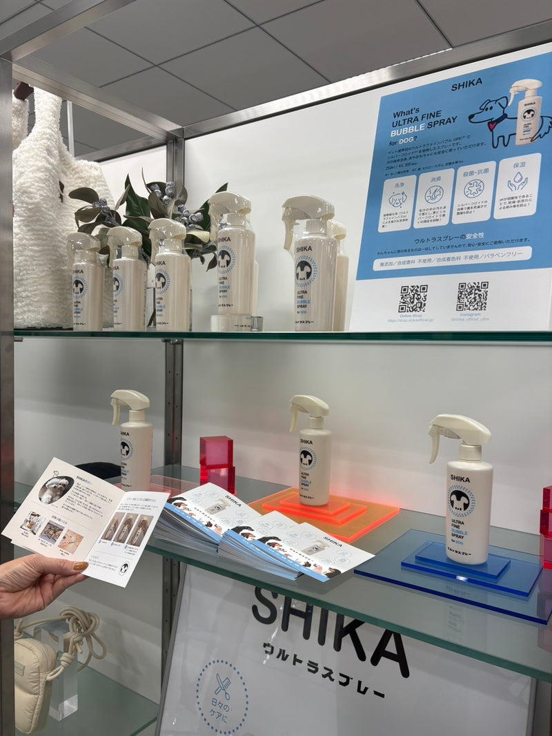 Steady Study Open House