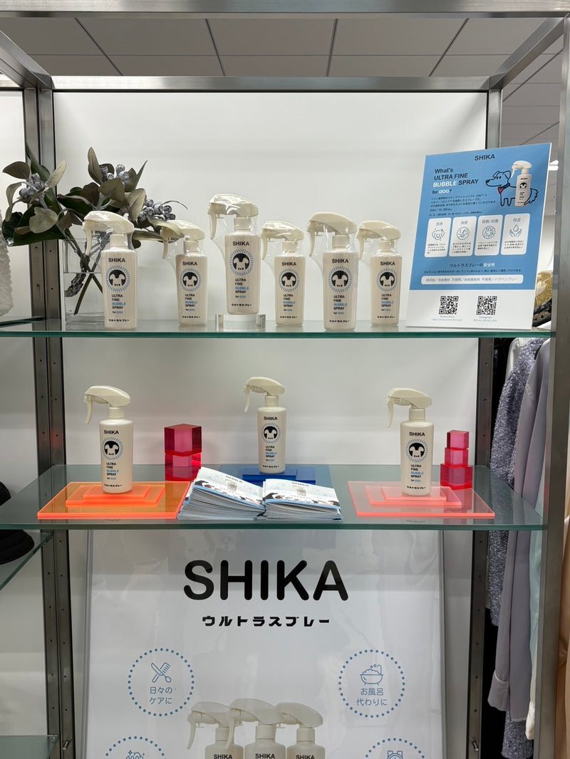 Steady Study Open House