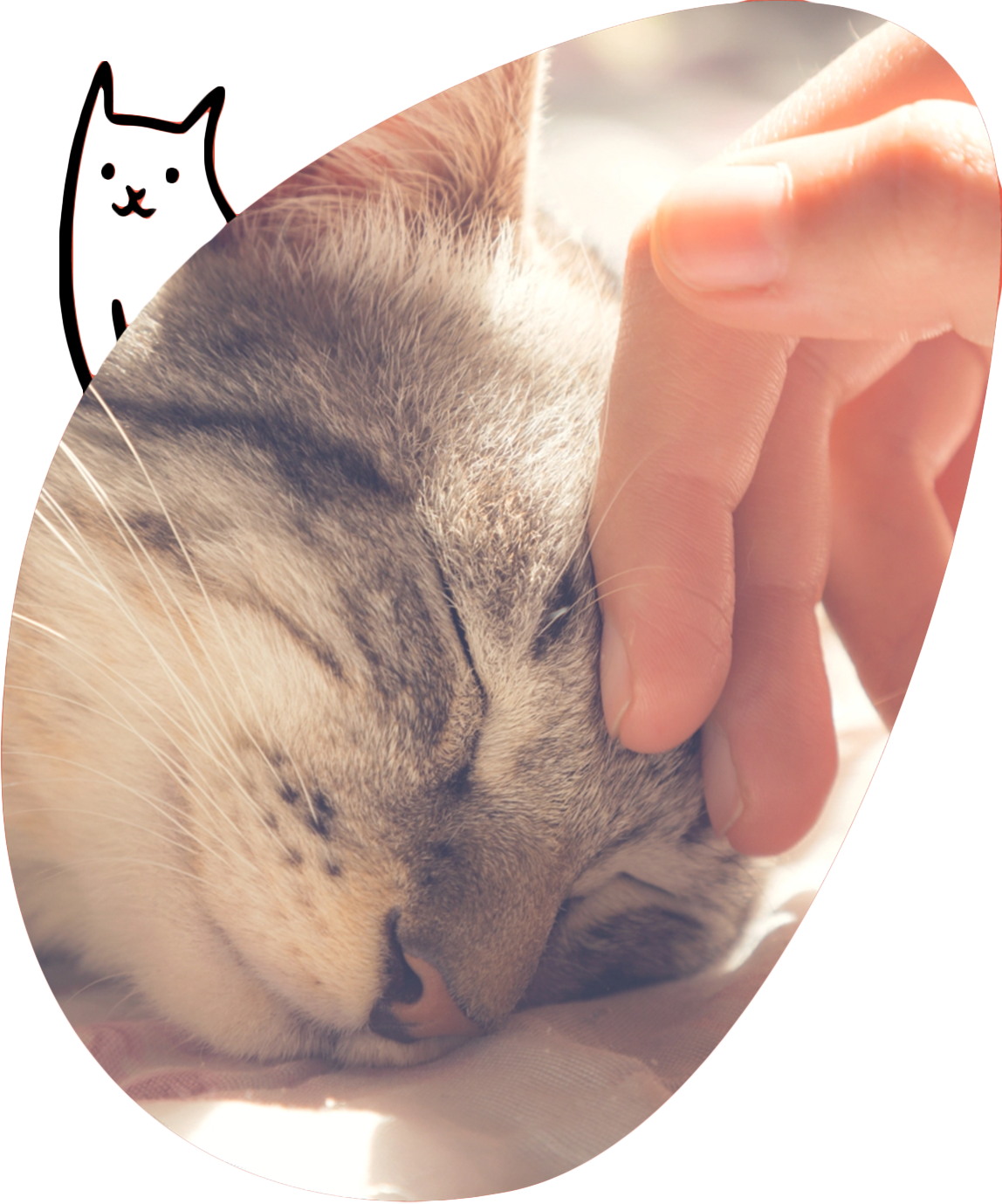 SHIKAの想い