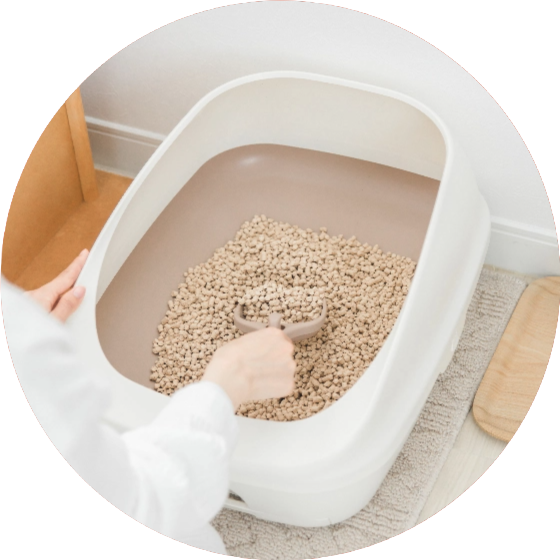 トイレの消臭に