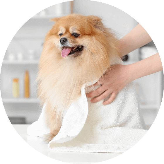 お風呂の代わりに